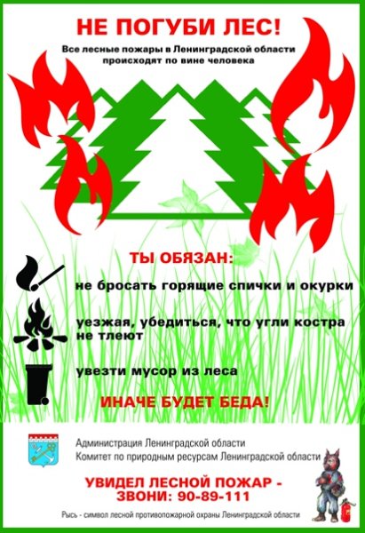 Акция чистый лес территория без огня