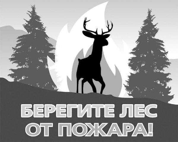 Баннер берегите лес