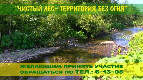 Акция чистый лес территория без огня
