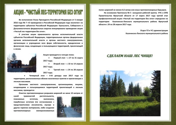 Листовка чистый лес