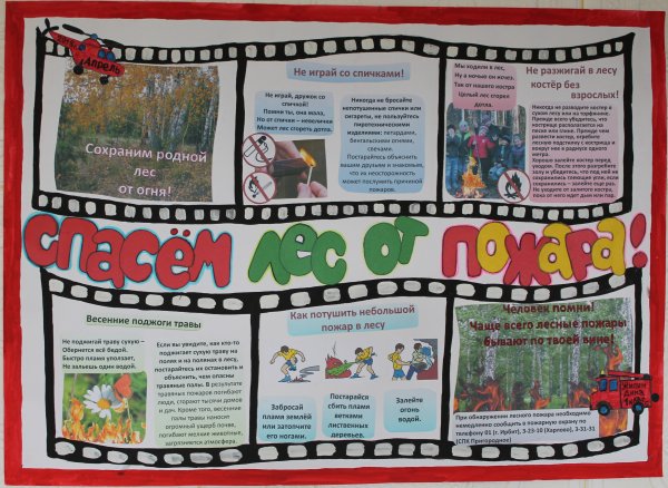 Чистый лес территория без огня