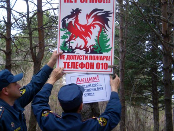 Чистый лес территория без огня памятка