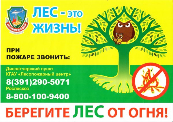 Листовка берегите лес