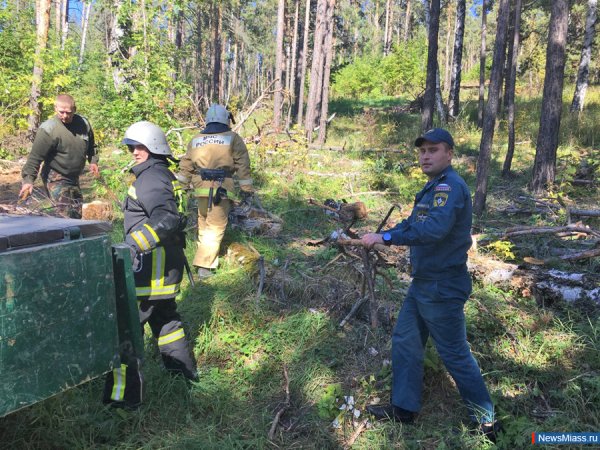 Чистый лес территория без огня