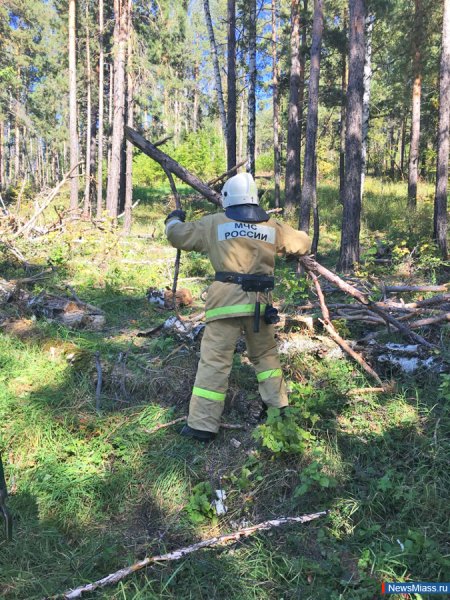 Акция чистый лес территория без огня