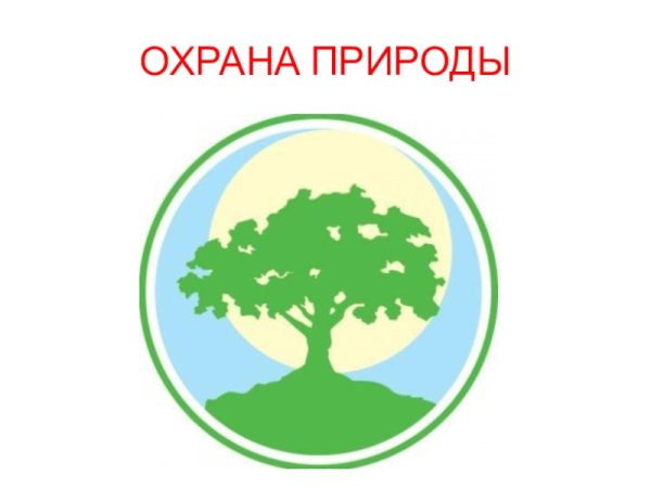 Год охраны окружающей среды 2013