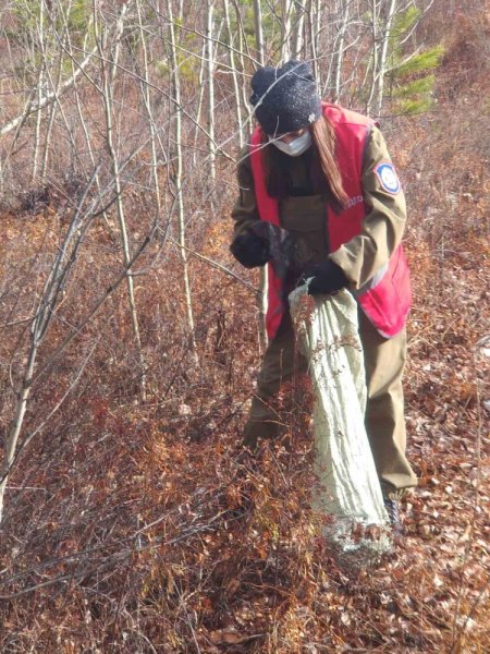 Акция чистый лес территория без огня