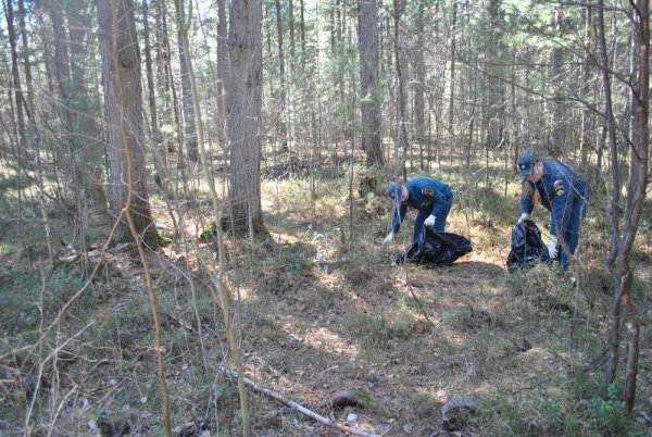 Акция чистый лес территория без огня