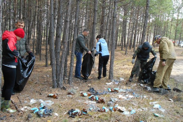 Акция чистый лес