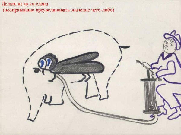 Из мухи слона фразеологизм