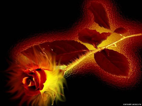 Цветок в огне