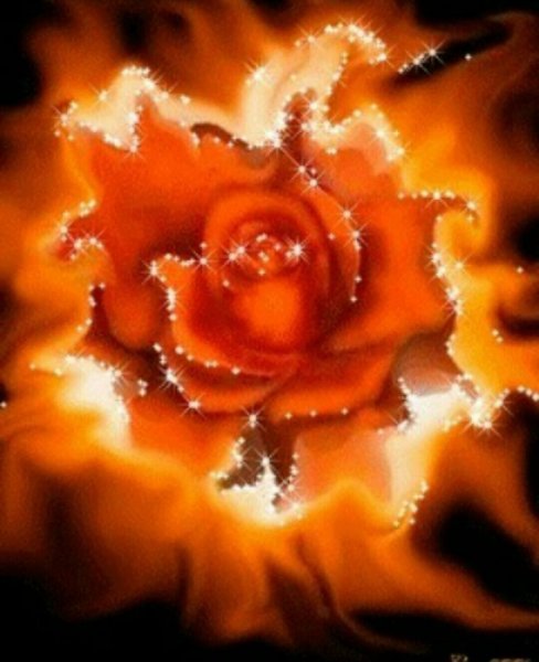 Огненный цветок