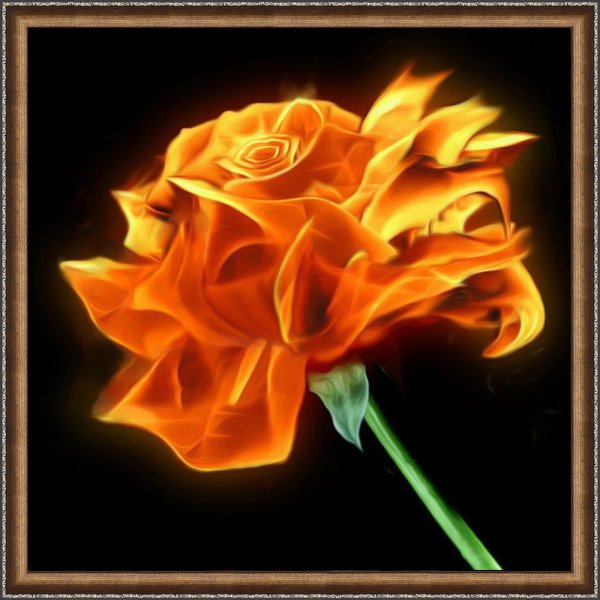 Огненная Розочка