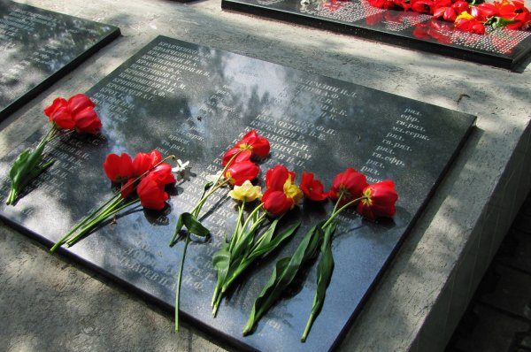 Память воинам Великой Отечественной войны