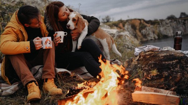 Друзья возле костра