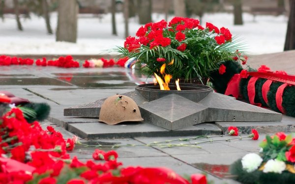Великая Отечественная война вечный огонь