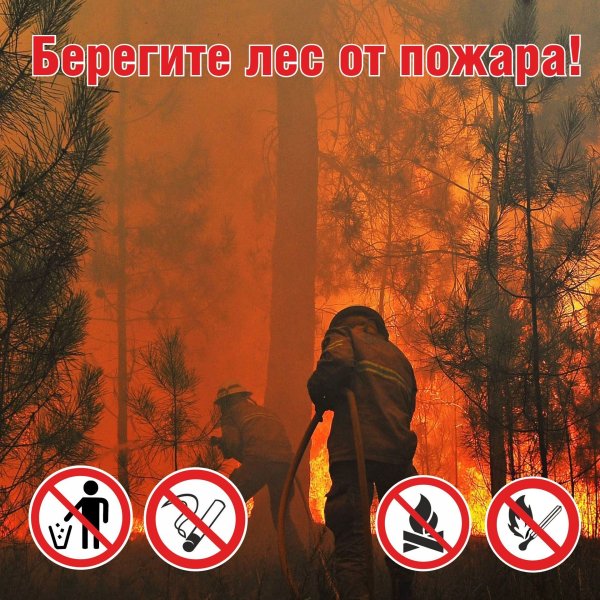 Берюгите лет от пожара