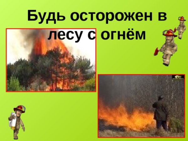 Будь осторожен в лесу с огнем