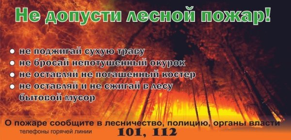 Не допусти лесного пожара