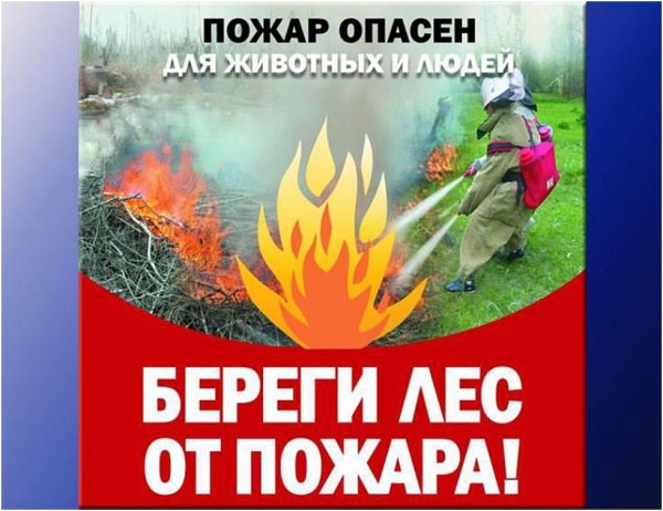 Правила пожарной безопасности в лесу