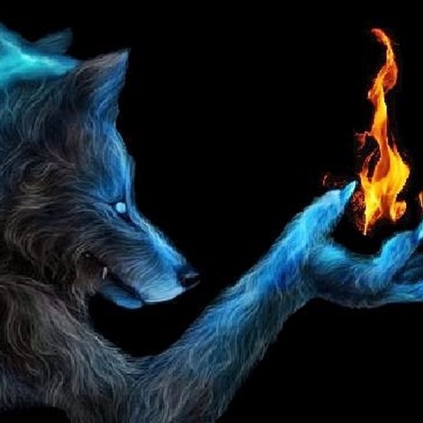 Огненный и ледяной волк