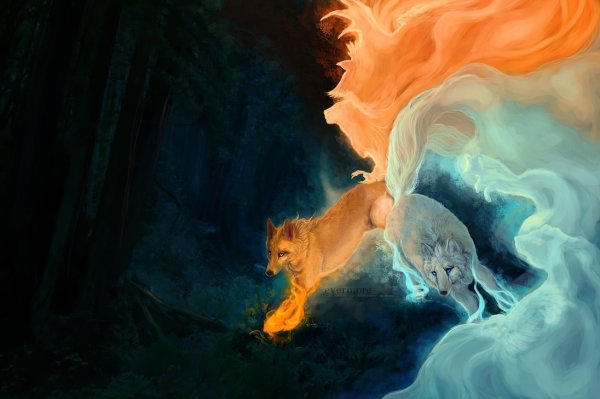 Стихии животных