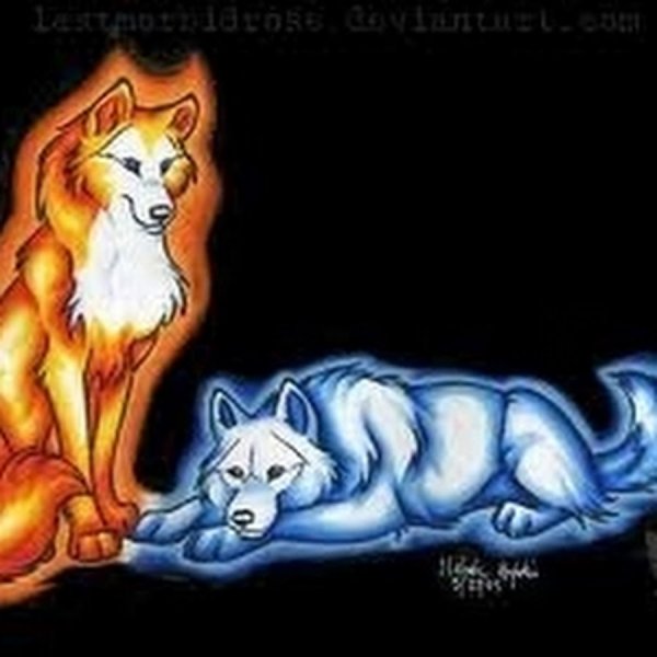 Огненный и ледяной волк