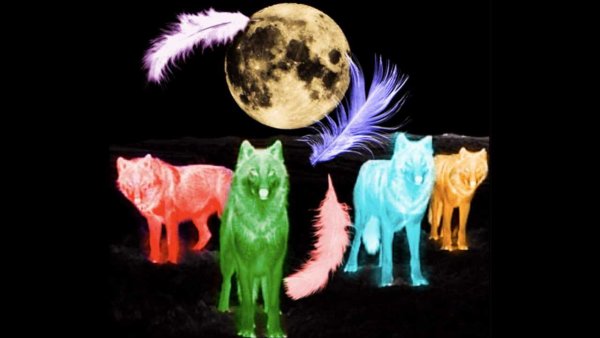 Животные стихий