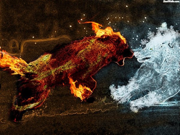 Волки огонь и вода