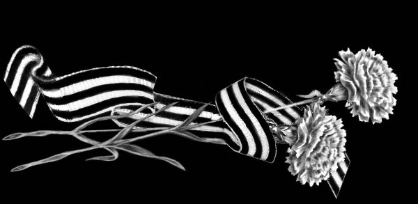 Гвоздики на памятник