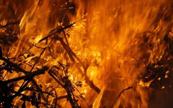 Бушующий огонь