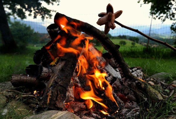 Костер шашлык природа
