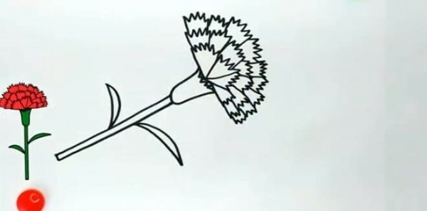 Рисование гвоздики с ребенком