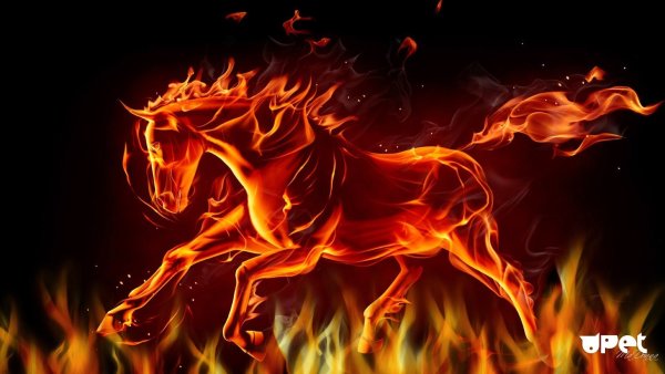 Огненный бык