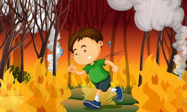 Дети и огонь в лесу
