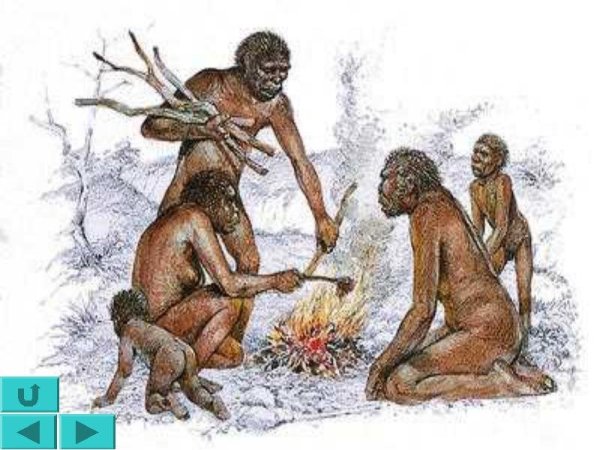 Древние люди первобытные люди хомо Эректус