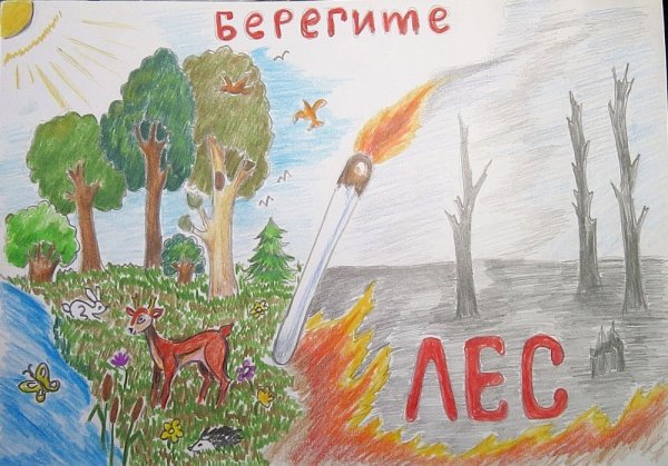 Берегите лес рисунок