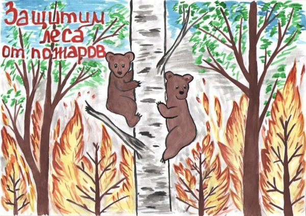 Сохраним лес от пожара