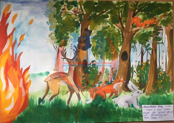 Конкурс рисунков берегите лес