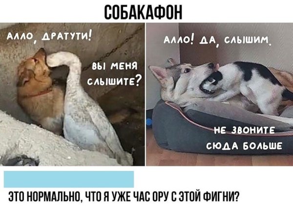 Алло меня слышно