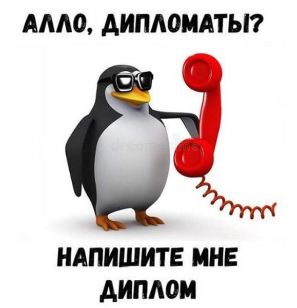 Пингвин с телефоном Мем