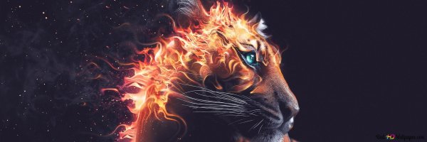 Тигр в огне обои