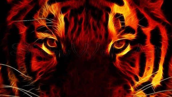 Тигр Тотем Огненный