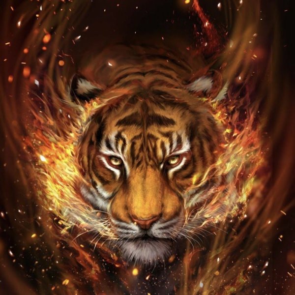 Тигр фэнтези