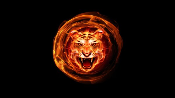 Огненный тигр