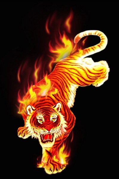 Красный Огненный тигр