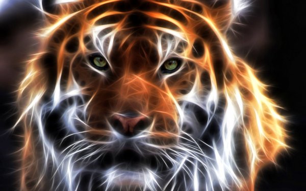 Огненный тигр рабочий стол