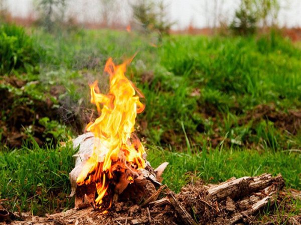 Особый противопожарный режи