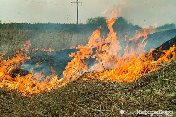 Пожарная опасность