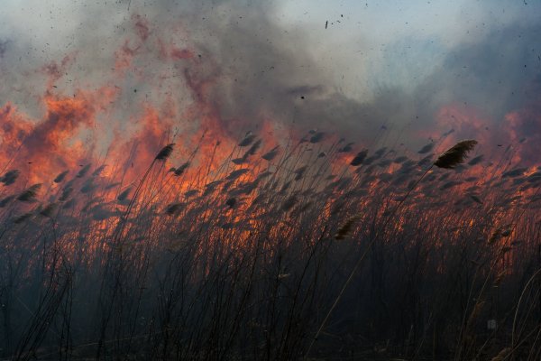 Пожар Эстетика